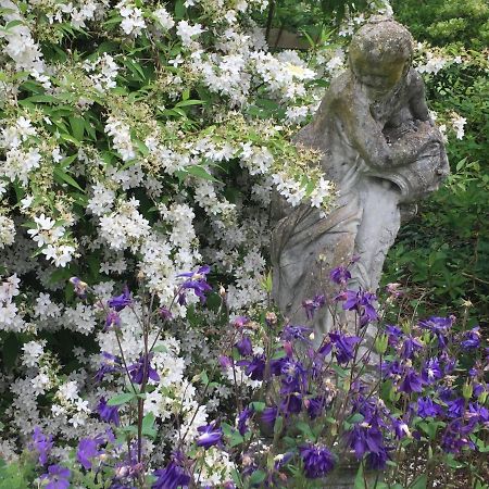 Beckington Seymours Court Bed & Breakfast エクステリア 写真