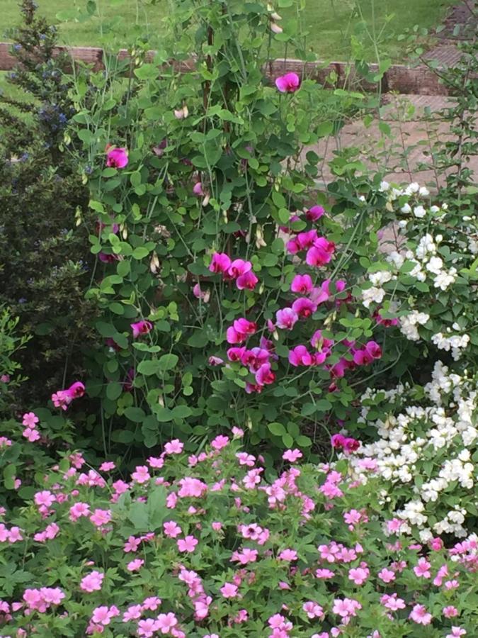 Beckington Seymours Court Bed & Breakfast エクステリア 写真