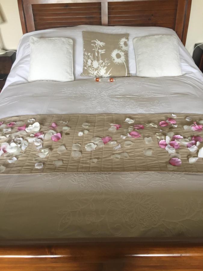 Beckington Seymours Court Bed & Breakfast エクステリア 写真